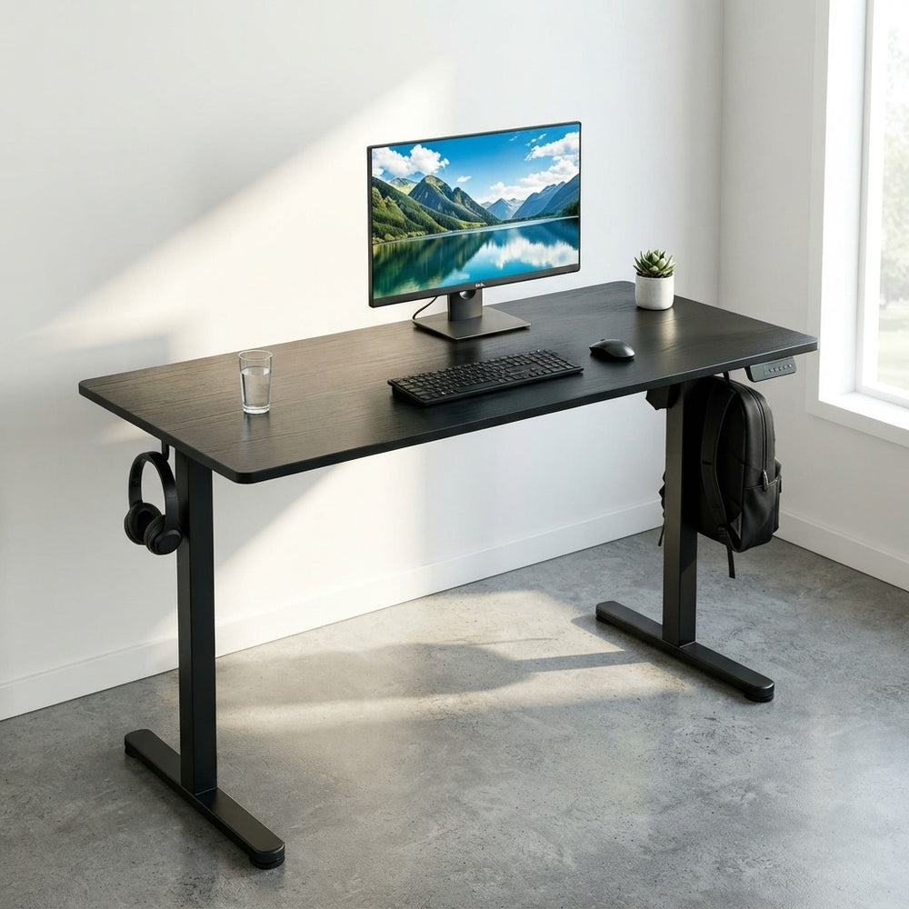 48 x 24 Inch Electric Standing Desk, Adjustable Height Sit Stand Computer Desk With 3 Memory Presets, Quiet Motor, Home Office